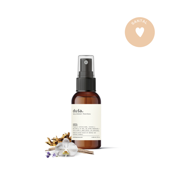 19_c6644a1a-8b88-4fd3-a9e5-