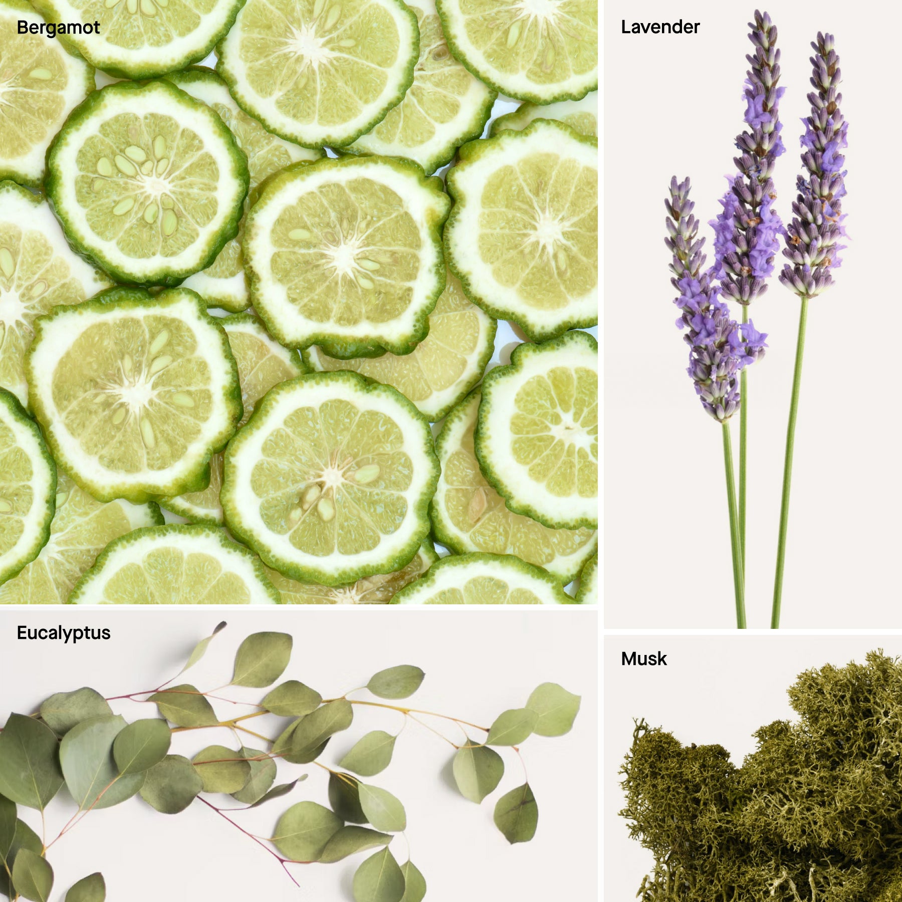 LAVENDER- 4 FL OZ PRE-POO SPRAY