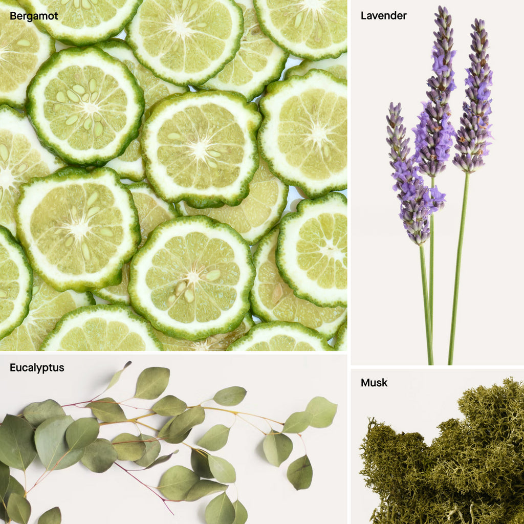 LAVENDER- 4 FL OZ PRE-POO SPRAY